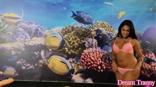 Trans Hottie Leticia Le Farias Stretched Out by The Machine