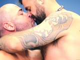 BEARFILMS Inked Bear Jon Shield Takes Tyler Reed Horny Cock